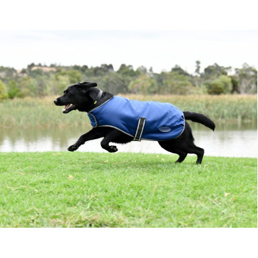 Cobertura para perro Weatherbeeta ComFiTec Cobertura para perro Weatherbeeta ComFiTec