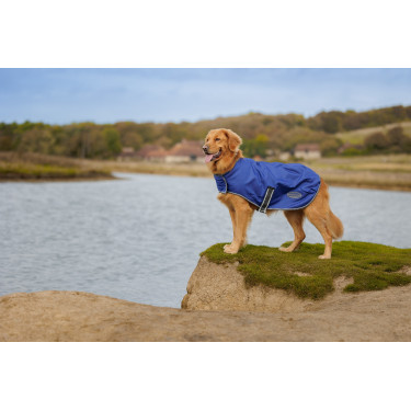 Cobertura para perro Weatherbeeta ComFiTec Cobertura para perro Weatherbeeta ComFiTec