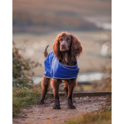 new Azul oscuro / gris / blanco