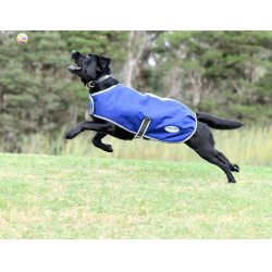 Capa para perro Weatherbeeta ComFiTec Premier Free Capa para perro Weatherbeeta ComFiTec Premier Free