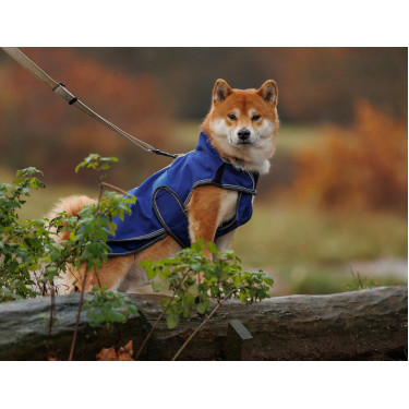 Cobertura para perro Weatherbeeta Deluxe ComFiTec Cobertura para perro Weatherbeeta Deluxe ComFiTec