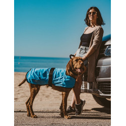 Capa refrescante para perro Weatherbeeta Therapy-Tec Capa refrescante para perro Weatherbeeta Therapy-Tec