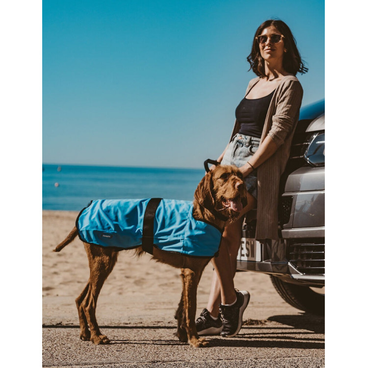 Capa refrescante para perro Weatherbeeta Therapy-Tec Capa refrescante para perro Weatherbeeta Therapy-Tec