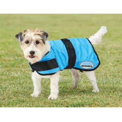 Capa refrescante para perro Weatherbeeta Therapy-Tec Capa refrescante para perro Weatherbeeta Therapy-Tec