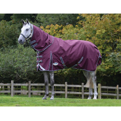Manta 100g Weatherbeeta con cuello ComFiTec Plus Dynamic II Manta 100g Weatherbeeta con cuello ComFiTec Plus Dynamic II