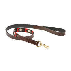 Correa para perro Weatherbeeta de cuero Polo