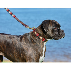 Correa para perro Weatherbeeta de cuero Polo Correa para perro Weatherbeeta de cuero Polo