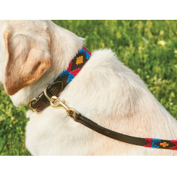Correa para perro Weatherbeeta de cuero Polo Marrón cowdray / rosa / azul / amarillo Multicolor
