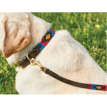 Correa para perro Weatherbeeta de cuero Polo Marrón cowdray / rosa / azul / amarillo Multicolor