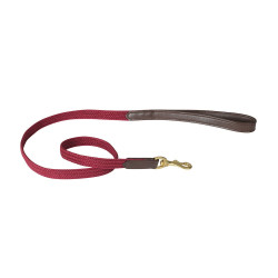 Correa para perro Weatherbeeta de cuero trenzado