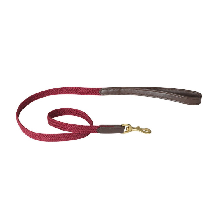 Correa para perro Weatherbeeta de cuero trenzado