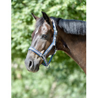 Cabezada Weatherbeeta Coordinate Azul oscuro / marrón / gris