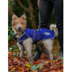 Manta para perro 220g Weatherbeeta ComFiTec Deluxe