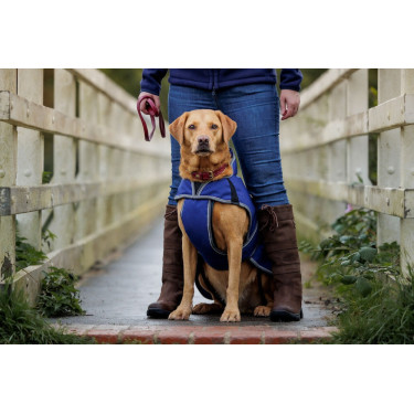 Manta para perro 220g Weatherbeeta ComFiTec Deluxe Manta para perro 220g Weatherbeeta ComFiTec Deluxe
