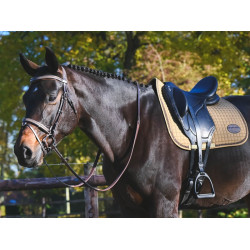 Brida Carat Jump'In One Premium Havana Marrón