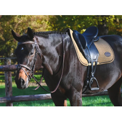 Brida Carat Jump'In One Premium Havana Marrón