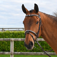 Brida Clincher Jump'In One Premium Havana Marrón