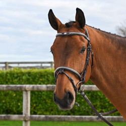 Brida Clincher Jump'In One Premium Havana Marrón Brida Clincher Jump'In One Premium Havana Marrón