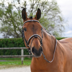 Brida Clincher Jump'In One Premium Havana Marrón Brida Clincher Jump'In One Premium Havana Marrón