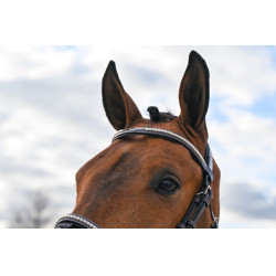 Brida Clincher Jump'In One Premium Havana Marrón Brida Clincher Jump'In One Premium Havana Marrón