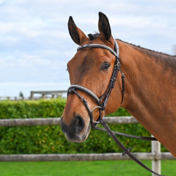 Brida Clincher Jump'In One Premium Havana Marrón Brida Clincher Jump'In One Premium Havana Marrón