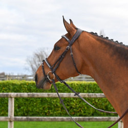 Brida Clincher Jump'In One Premium Havana Marrón Brida Clincher Jump'In One Premium Havana Marrón