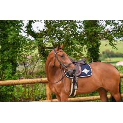 Brida Hackamore Jump'In week