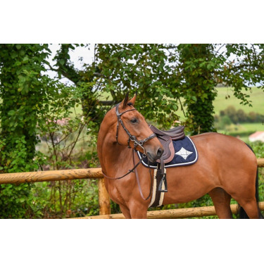 Brida Hackamore Jump'In week