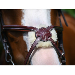 new Acajou new Acajou