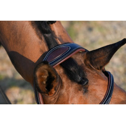 Brida Liberty Jump'In One Brida Liberty Jump'In One