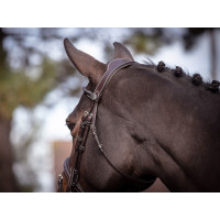 Brida Wednesday muserola combinada Jump'In week Havana Marrón