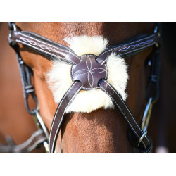 Brida Wednesday muserola cruzada Jump'In week Havana Marrón