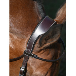 Brida Wednesday muserola cruzada Jump'In week Havana Marrón