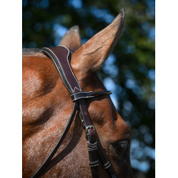 Brida Wednesday muserola cruzada Jump'In week Havana Marrón