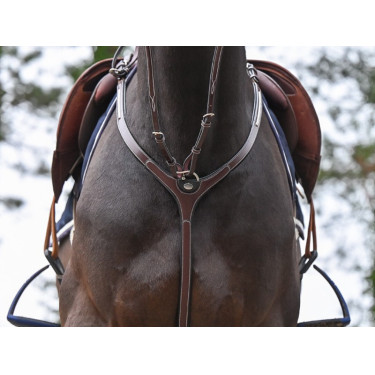 Pechopetral Clincher y martingala Jump'In One Premium Pechopetral Clincher y martingala Jump'In One Premium