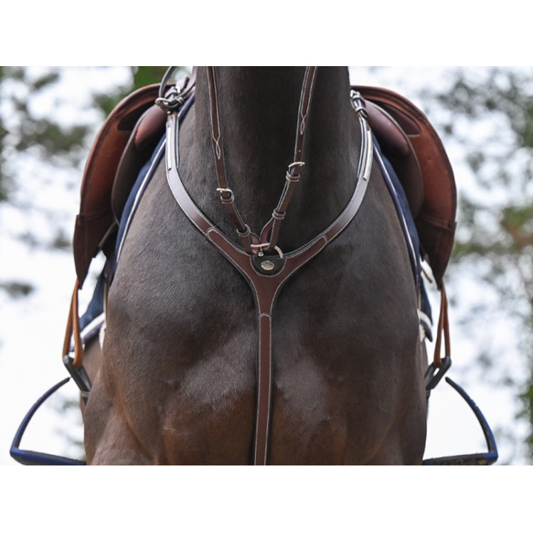 Pechopetral Clincher y martingala Jump'In One Premium