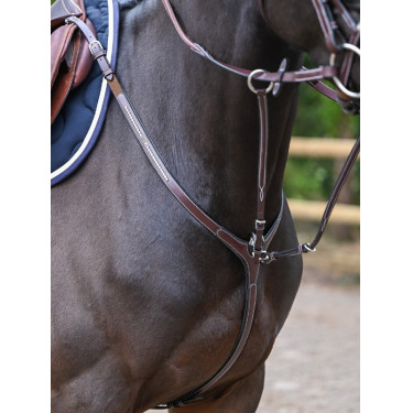 Pechopetral Clincher y martingala Jump'In One Premium Pechopetral Clincher y martingala Jump'In One Premium