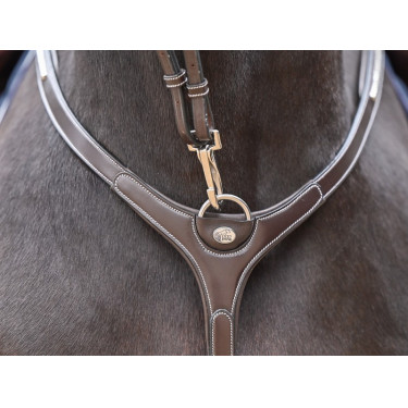 Pechopetral Clincher y martingala Jump'In One Premium Pechopetral Clincher y martingala Jump'In One Premium