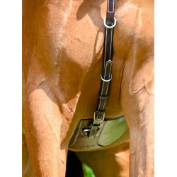 new Havana new Havana