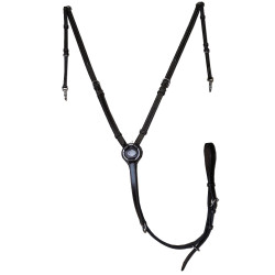 new Havana new Havana