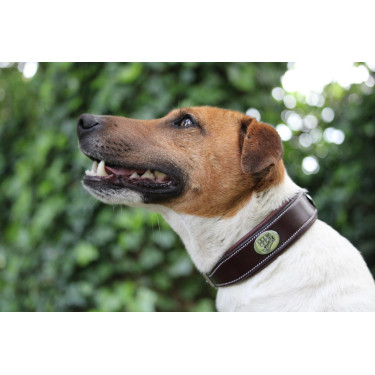 Collar para perro Jump'In