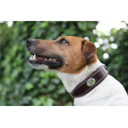 Collar para perro Jump'In