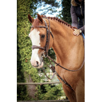 Enrénamiento Jump'In Patrick Havana Marrón