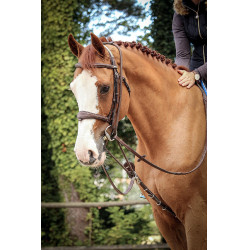 Enrénamiento Jump'In Patrick Havana Marrón