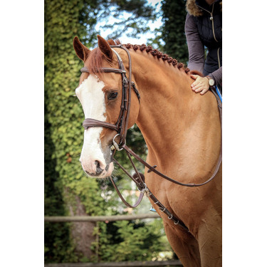 Enrénamiento Jump'In Patrick Havana Marrón