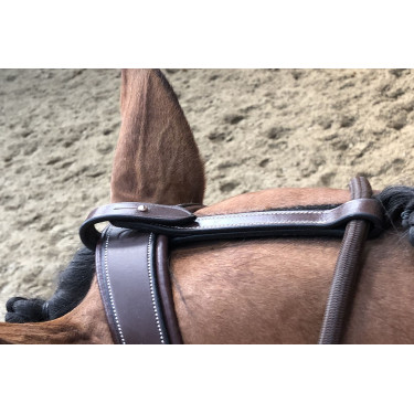 Enrénamiento Jump'In Patrick Havana Marrón