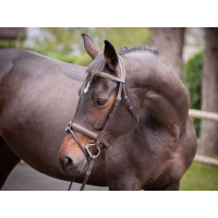 Filete Jump'In Crystal muserola combinada Week Habana cristal azul