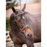 Filete Jump'In Crystal muserola combinada Week Havana Marrón