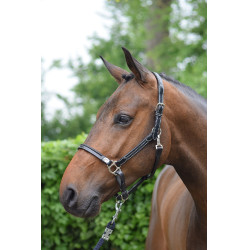 Cabezada de cepillado Jump'In week Caoba Burdeos