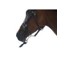 Cabezada Wednesday Jump'In week Havana Marrón